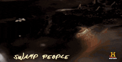 redneck terrifying GIF by Swamp People