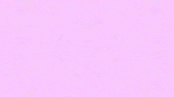 200.gif?cid=fc005b08083c458b7092c5d2f387d960fba33457d8334c91&rid=200.gif&ct=g