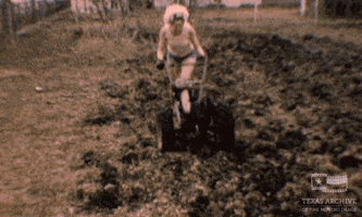 home movie orange GIF by Texas Archive of the Moving Image