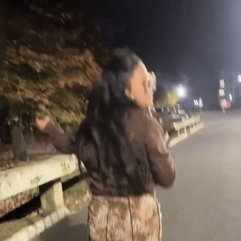 Jersey Shore GIF