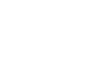 Tenerifecook Sticker by Cook Music Fest