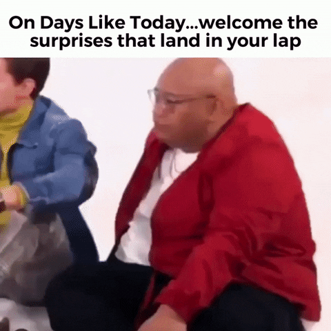 Meme gif. Bald man wearing a bright red jacket sits on the floor. A small white dogs walks up to him, and to his great surprise, sits sweetly in his lap. The man brings his hands to his face in a motion of pleased shock. Text, "On days like today, welcome the surprises that land in your lap."