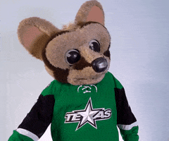 No Way Reaction GIF by Texas Stars Hockey