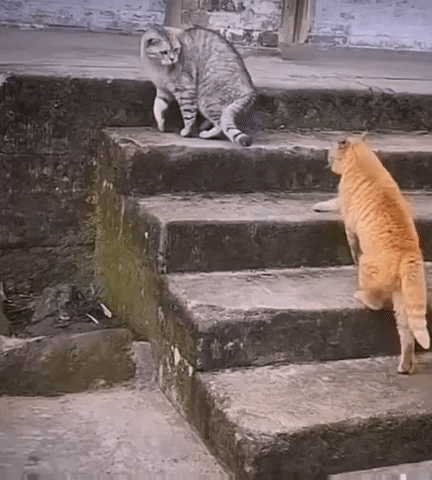 Go Away GIF