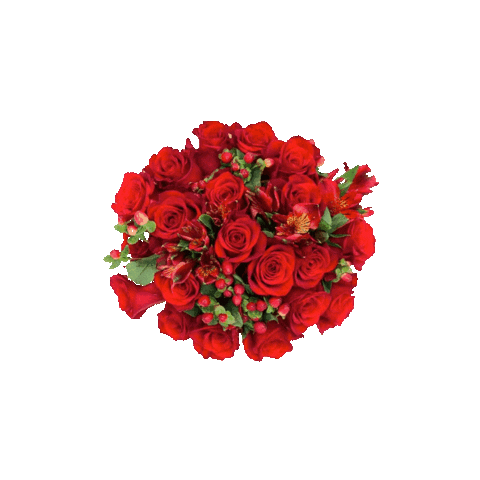 Sticker by TheBouqsCo