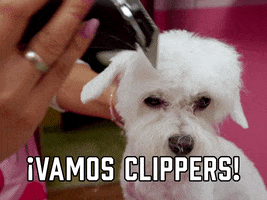 La Clippers GIF by Sealed With A GIF