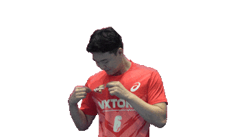 Vixtorm Sticker