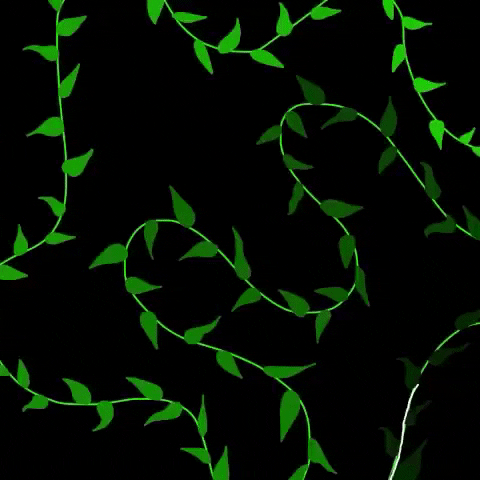 Anelaxr green plant plants background GIF