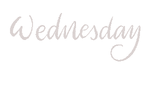 Today Wednesday Sticker