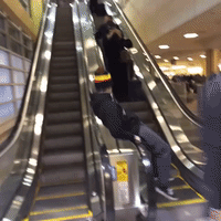 vine escalator Clip