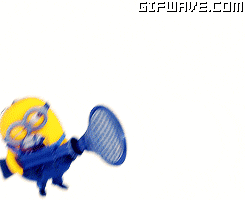 minions movie