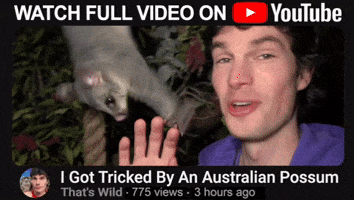 Fail Youtube GIF