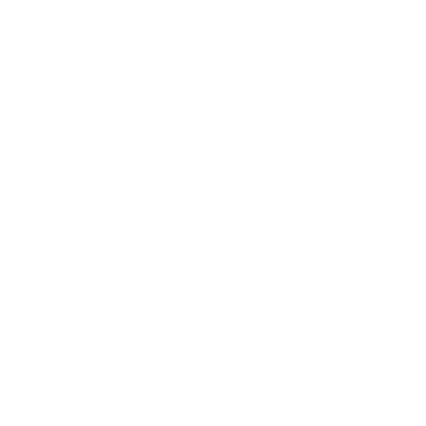 Noma Collective Sticker