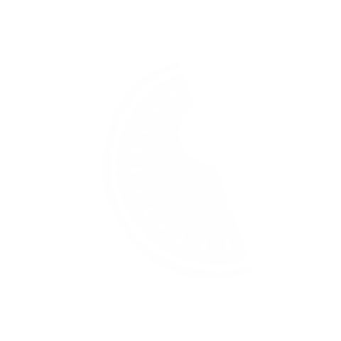 Party Fruit Sticker by Zomerfeest Gorinchem