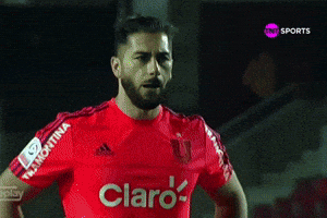 U De Chile Herrera GIF