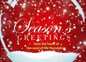 Happy Party GIF by The Seed of Life Foundation