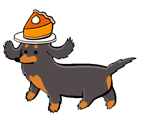 Source: Stefanie Shank Source: Stefanie Shank