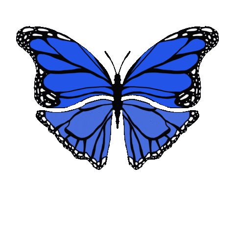 Butterfly Azul Sticker