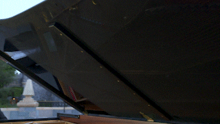 Feedthebirds GIF by Lang Lang