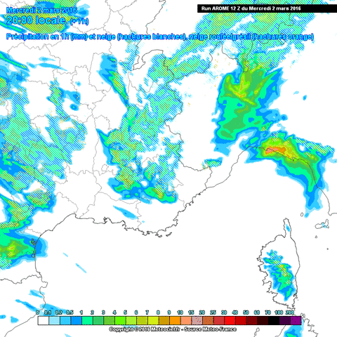 sandraberenicemichel  GIF