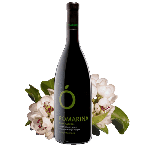 Grupo El Gaitero Sticker