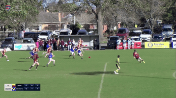 Sebastopol GIF