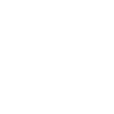 Viesse Auto Sticker