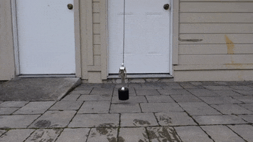 200.gif?cid=fc005b08839aafc317fa2a384bb8e0f7b6fbac2d480dfbc6&rid=200.gif&ct=g