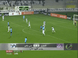 amoryamr  GIF