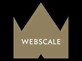 Web GIF by Webscale