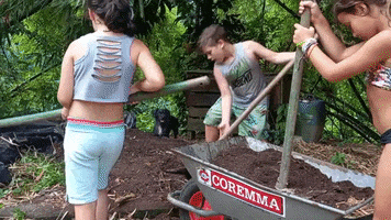 Dog Terra GIF by Coremma