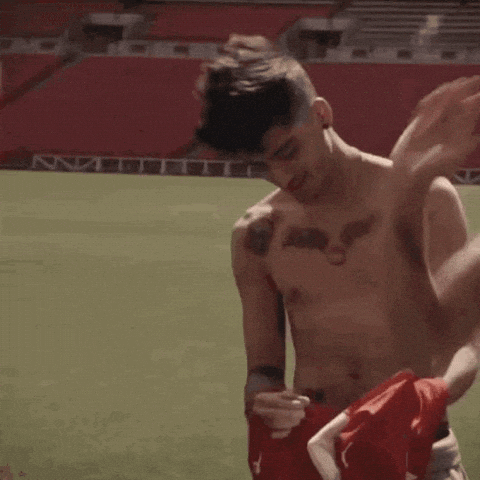 Zaynchile Zayncl Zquadcl GIF