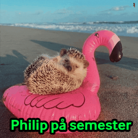 Animated GIF