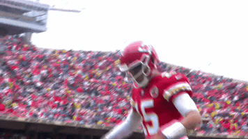 Kansas City Chiefs GIF