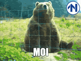 moi GIF by RTV Noord