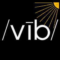 VibCycle vib cycle vibe cycle anchorage cycle GIF