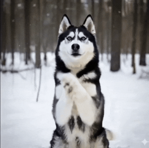 Dog Comedy GIF