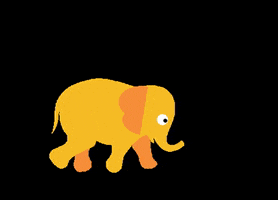 GIF by LA CARNITA DXB