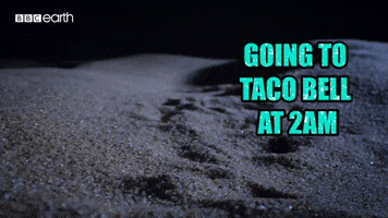 Meme GIF