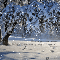 Inspire Winter Solstice GIF by Positive Programming