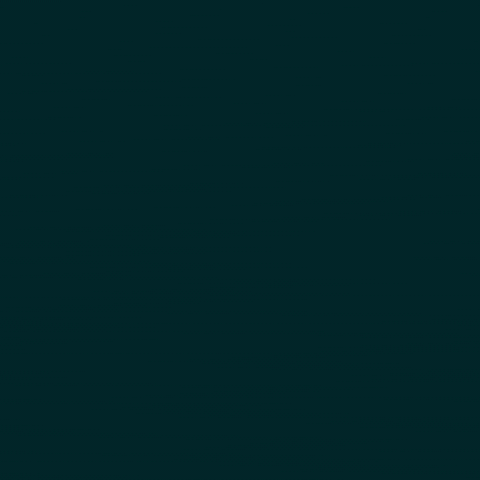 اليوم الوطني السعودي GIF by MBC Group