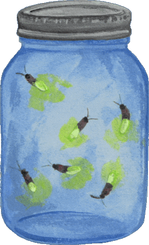 Lightning Bug Summer GIF