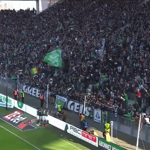 fans angels GIF by AS Saint-Étienne