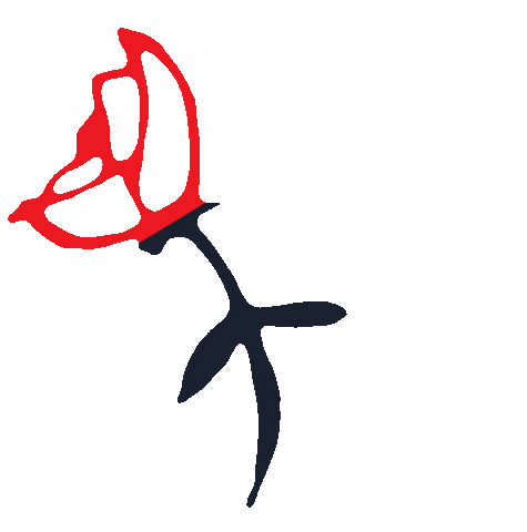 wizo Sticker
