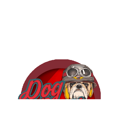 Dogboys Sticker by ReautoVeiculos