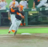 Baseball GIF