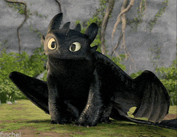 how to train your dragon t of the nightfury GIF