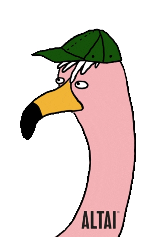 Talk What Sticker by Altai Company