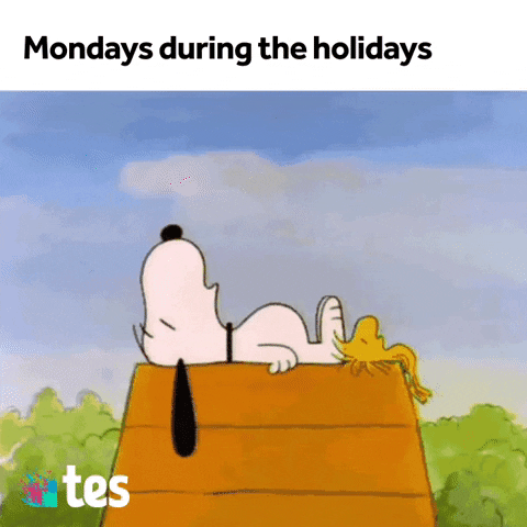 Dog Summer GIF by Tes World : Teachers