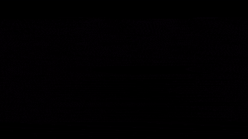 200.gif?cid=fc005b0883837072bd2705297dc17ecb4637bc93f66ad3bf&rid=200.gif&ct=g